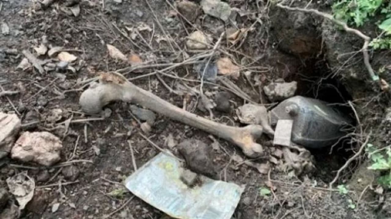 महिला के बगीचे में रोज रात को होती थीं डरावनी हरकतें.. सुबह मिलते मरे इंसानों के अंग, सामने आई अजीब बात 