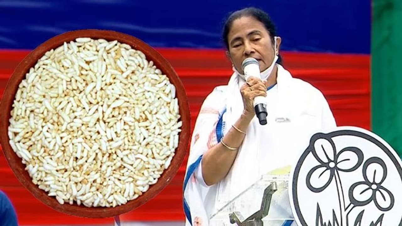 'আমাদের মুড়ি ফেরত দাও, নাহলে বিজেপি বিদায় নাও' শহিদ দিবসের মঞ্চ থেকে তোপ মমতা বন্দ্যোপাধ্যায়ের 'আমাদের মুড়ি ফেরত দাও, নাহলে বিজেপি বিদায় নাও' শহিদ দিবসের মঞ্চ থেকে তোপ মমতা বন্দ্যোপাধ্যায়ের