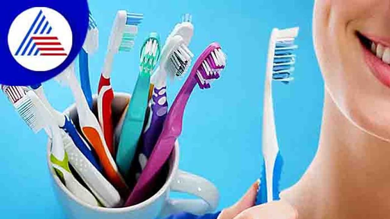 ಎಷ್ಟು ದಿನಗಳಿಗೊಮ್ಮೆ ಹಲ್ಲುಜ್ಜುವ ಬ್ರಷ್ ಬದಲಾಯಿಸ್ಬೇಕು? ಎಷ್ಟು ದಿನಗಳಿಗೊಮ್ಮೆ ಹಲ್ಲುಜ್ಜುವ ಬ್ರಷ್ ಬದಲಾಯಿಸ್ಬೇಕು?