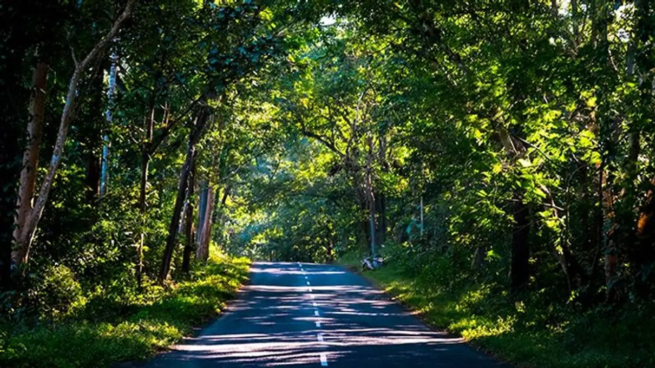 Travel Tips : ಮಾಡೋ ಟೂರ್ ಚೆಂದ ಇರ್ಬೇಕಂದ್ರೆ ಪ್ಲ್ಯಾನ್ ಹೀಗಿರಲಿ