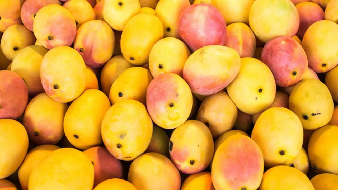 mango