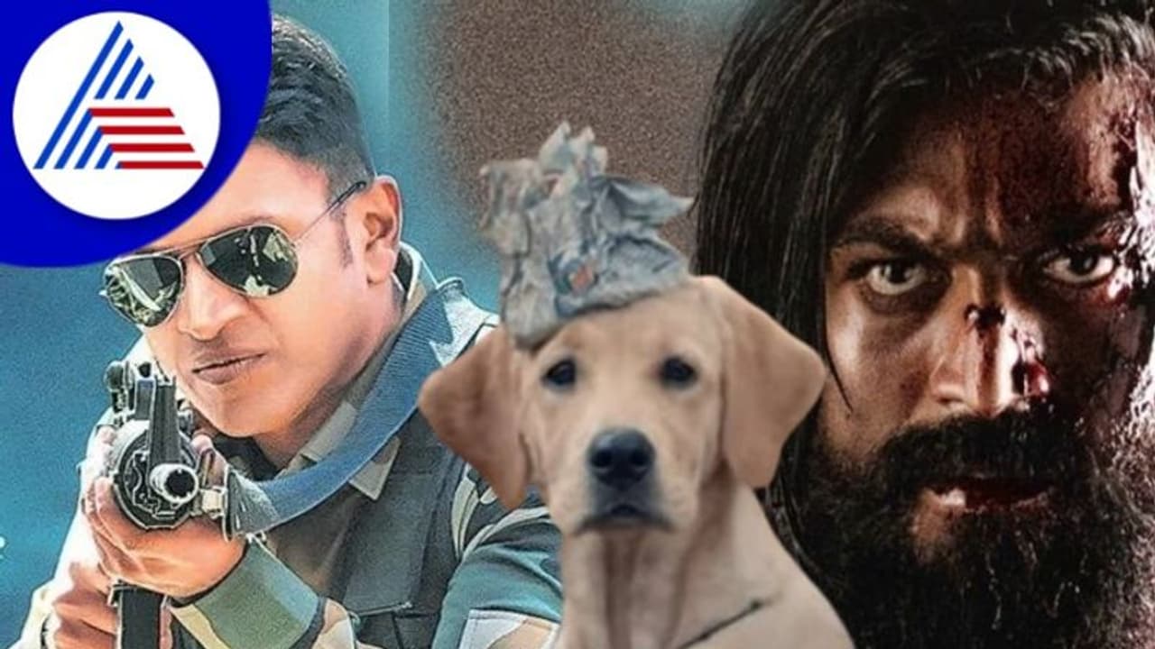 ಆರು ತಿಂಗಳಿನಲ್ಲಿ 110 ಚಿತ್ರಗಳು; 3 ಗೆಲುವು ನಿರಾಶೆ ಹಲವು! ಆರು ತಿಂಗಳಿನಲ್ಲಿ 110 ಚಿತ್ರಗಳು; 3 ಗೆಲುವು ನಿರಾಶೆ ಹಲವು!