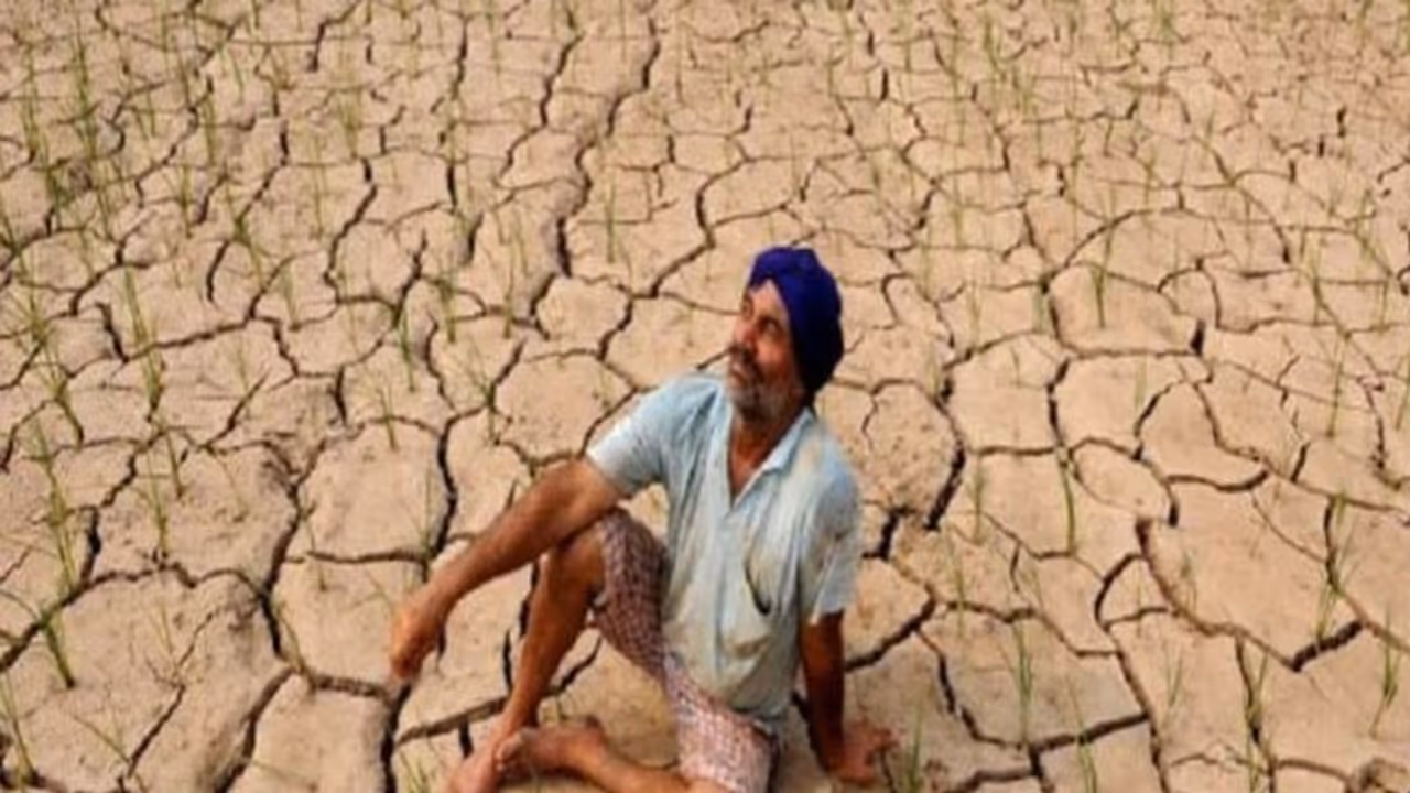 बड़ी राहत: लोन न चुकाने वाले किसानों के खेत या प्रॉपर्टी बैंक नीलाम नहीं कर सकेंगे, सरकार लाने जा रही कानून बड़ी राहत: लोन न चुकाने वाले किसानों के खेत या प्रॉपर्टी बैंक नीलाम नहीं कर सकेंगे, सरकार लाने जा रही कानून