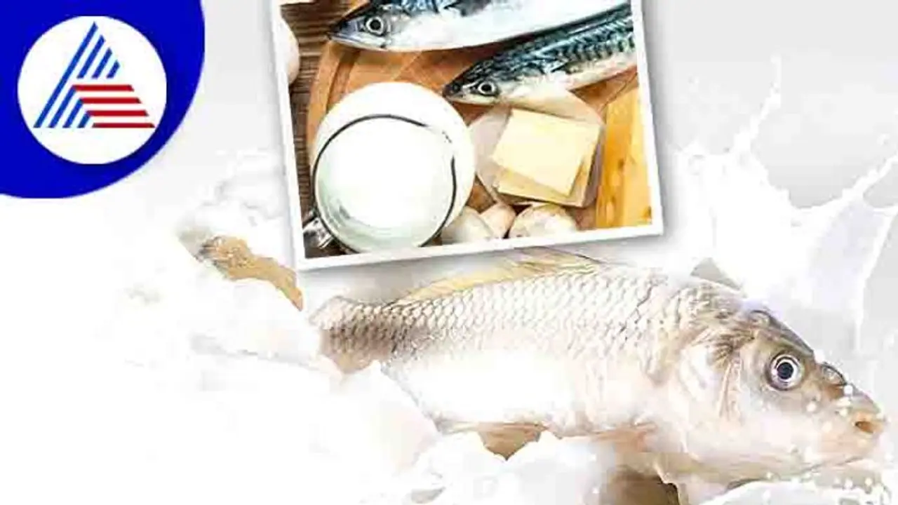 Health Tips : ಟೀ ಕುಡಿತಿದ್ದಂತೆ ಹೊಟ್ಟೆ ಊದಿಕೊಂಡ್ರೆ ಡಾಕ್ಟರ್ ಹತ್ರ ಹೋಗಿ Health Tips : ಟೀ ಕುಡಿತಿದ್ದಂತೆ ಹೊಟ್ಟೆ ಊದಿಕೊಂಡ್ರೆ ಡಾಕ್ಟರ್ ಹತ್ರ ಹೋಗಿ