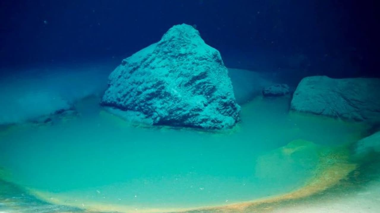 ചെങ്കടലിനടിയില് ഒരു കുളം, ആര് അതിലിറങ്ങിയാലും തല്ക്ഷണം കൊല്ലപ്പെടും! ചെങ്കടലിനടിയില് ഒരു കുളം, ആര് അതിലിറങ്ങിയാലും തല്ക്ഷണം കൊല്ലപ്പെടും!