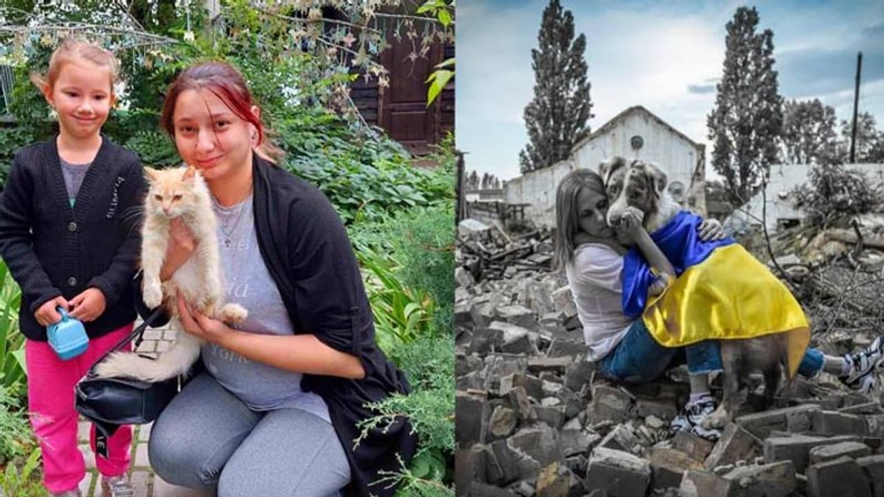 यूं मिले जैसे सालों से बिछुड़े हों, युद्ध में खो गए थे इनके जानवर, जब दिखे, तो लिपटकर बह निकले खुशी के आंसू यूं मिले जैसे सालों से बिछुड़े हों, युद्ध में खो गए थे इनके जानवर, जब दिखे, तो लिपटकर बह निकले खुशी के आंसू