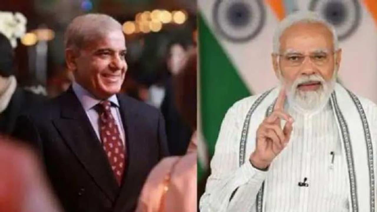 মুখোমুখি হবে ভারত পাকিস্তান? আন্তর্জাতিক মঞ্চে মোদীর সামনে শাহবাজ শরিফ