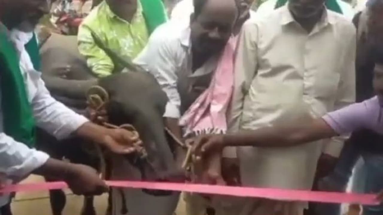 गांव वालों ने नेताओं और अफसरों की कर दी फुल बेइज्जती, खुद से बनवाई ये चीज और भैंस से कटवाया फीता गांव वालों ने नेताओं और अफसरों की कर दी फुल बेइज्जती, खुद से बनवाई ये चीज और भैंस से कटवाया फीता