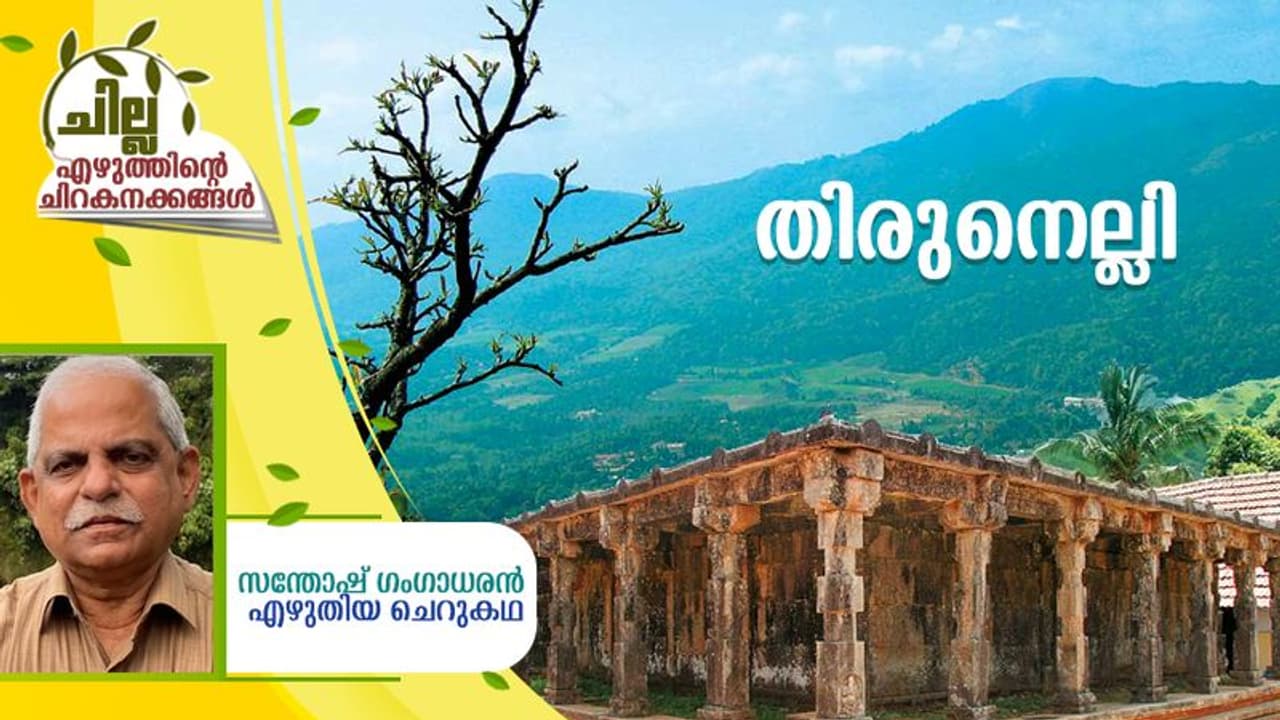 Malayalam Short Story : തിരുനെല്ലി, സന്തോഷ് ഗംഗാധരന്‍ എഴുതിയ ചെറുകഥ