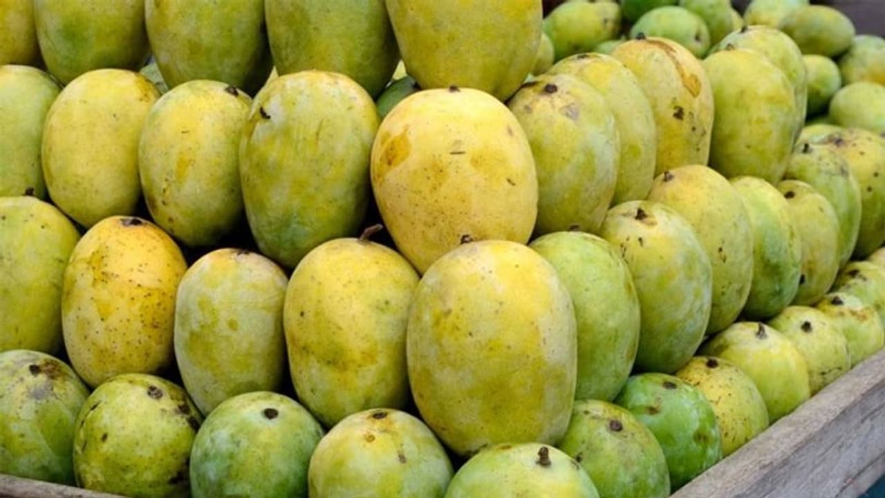  Uttar Pradesh News: దారుణం.. మామిడి పండు కావాల‌ని మేన‌కోడ‌లు మారాం.. పీక కోసి హ‌త్య చేసిన మేన‌మామ‌