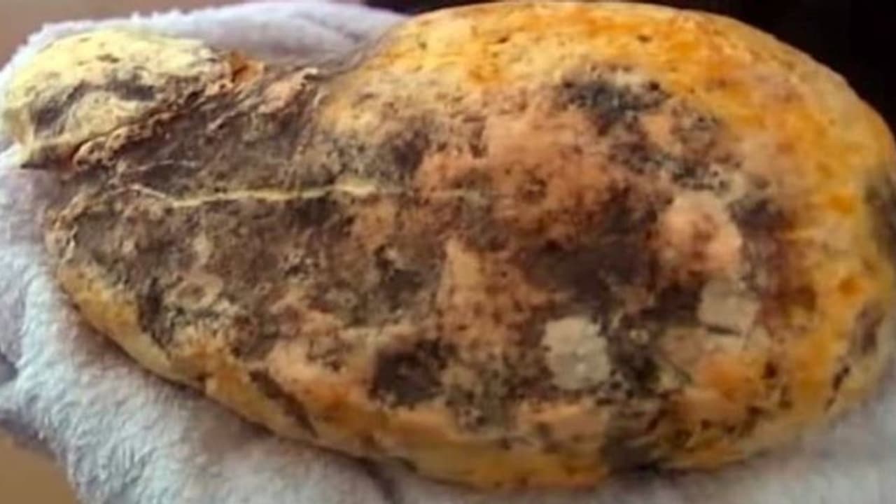 मछुआरों को समुद्र में मिली वो चीज.. जो बना सकती थी मालामाल, जिंदगीभर नहीं करते काम, मगर देनी पड़ी सरकार को 