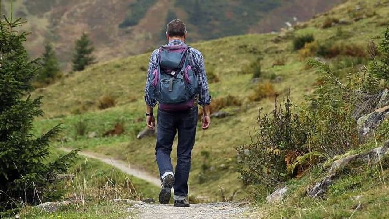 ഇത് വെറും ടൂറല്ല, കുടുംബത്തിന്റെ വേരുകൾ തപ്പി കണ്ടുപിടിച്ച് തരുന്ന യാത്രകൾ ഇത് വെറും ടൂറല്ല, കുടുംബത്തിന്റെ വേരുകൾ തപ്പി കണ്ടുപിടിച്ച് തരുന്ന യാത്രകൾ