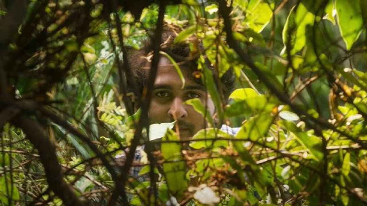 ഷെയ്നും ഒരുകൂട്ടം പൂച്ചകളും; രസിപ്പിച്ച് ബർമുഡ ടീസർ