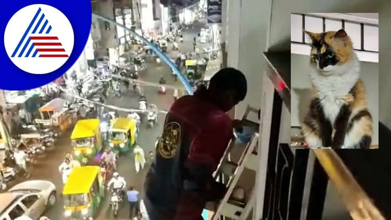 Belagavi: ಪ್ರಾಣ ಪಣಕ್ಕಿಟ್ಟು ಬೆಕ್ಕಿನ ಮರಿ ರಕ್ಷಿಸಿದ ಅಗ್ನಿಶಾಮಕ ಸಿಬ್ಬಂದಿ