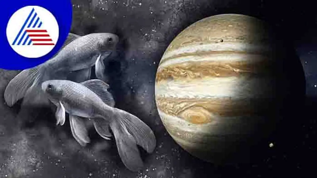 ಮೀನ ರಾಶಿಯಲ್ಲಿ ಗುರು ವಕ್ರಿ: ಯಶಸ್ಸಿಗಾಗಿ ಯಾವ ರಾಶಿ ಏನು ಮಾಡಬೇಕು? ಮೀನ ರಾಶಿಯಲ್ಲಿ ಗುರು ವಕ್ರಿ: ಯಶಸ್ಸಿಗಾಗಿ ಯಾವ ರಾಶಿ ಏನು ಮಾಡಬೇಕು?