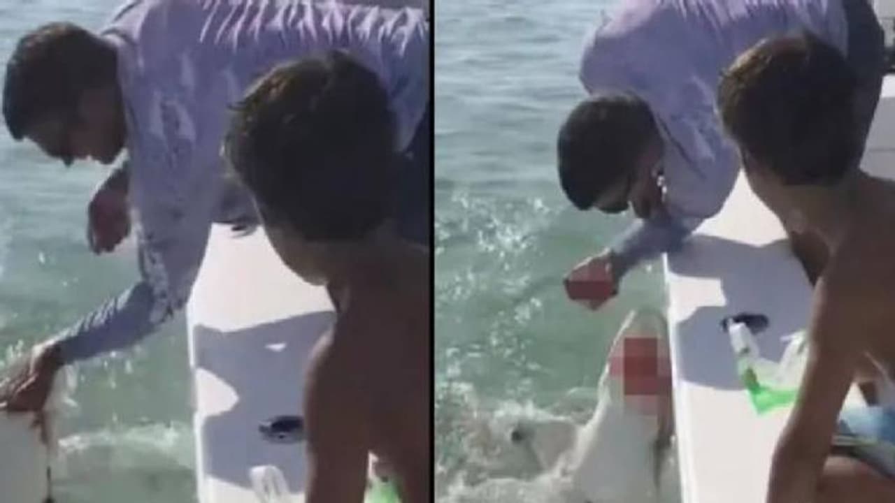 കുടുംബത്തോടൊപ്പം മീൻ പിടിക്കാനെത്തി, മത്സ്യത്തൊഴിലാളിയുടെ വിരൽ കടിച്ചെടുത്ത് സ്രാവ് കുടുംബത്തോടൊപ്പം മീൻ പിടിക്കാനെത്തി, മത്സ്യത്തൊഴിലാളിയുടെ വിരൽ കടിച്ചെടുത്ത് സ്രാവ്