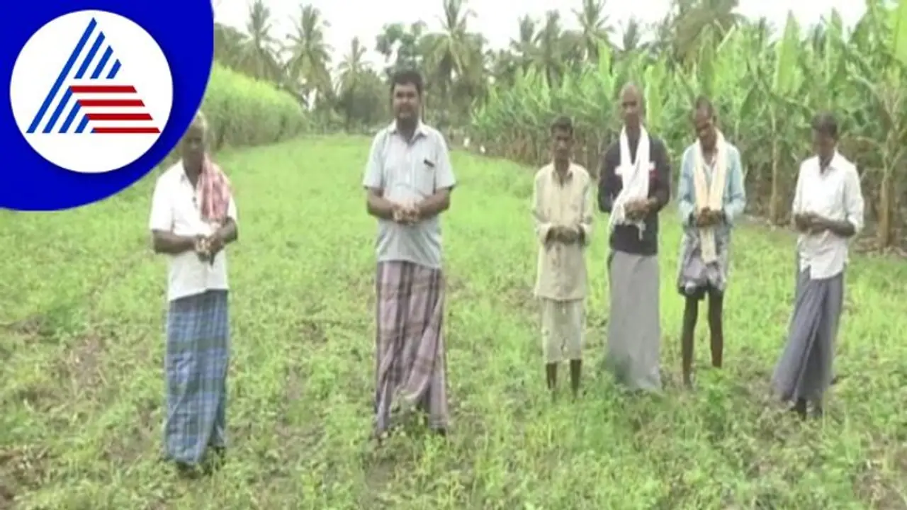 Chamarajanagar; ರೈತನ ಕಣ್ಣಲ್ಲಿ ನೀರು ತರಿಸ್ತಿದೆ ಸಣ್ಣೀರುಳ್ಳಿ Chamarajanagar; ರೈತನ ಕಣ್ಣಲ್ಲಿ ನೀರು ತರಿಸ್ತಿದೆ ಸಣ್ಣೀರುಳ್ಳಿ