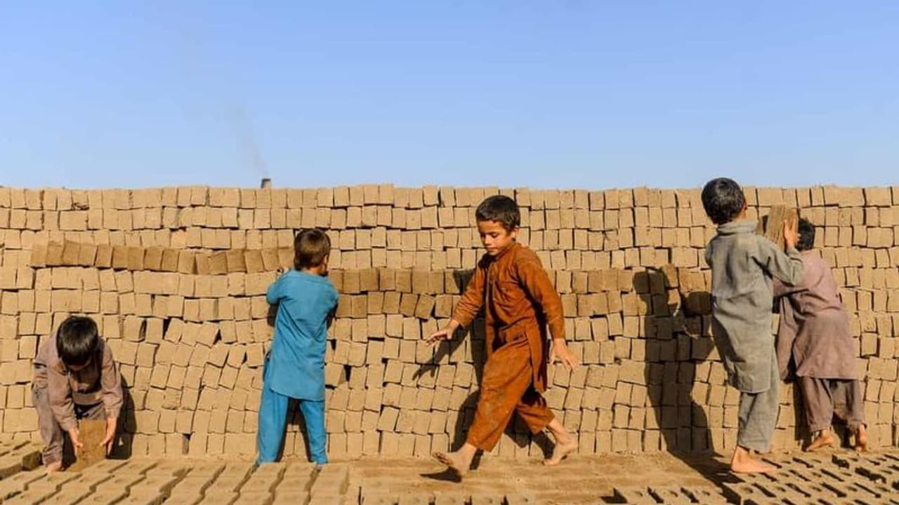 आर्थिक तंगी से जूझता अफगानिस्तान: 9 लाख लोगों की नौकरियां छिनीं, ईंट भट्ठों की आग में झुलस रहे मासूम बच्चे आर्थिक तंगी से जूझता अफगानिस्तान: 9 लाख लोगों की नौकरियां छिनीं, ईंट भट्ठों की आग में झुलस रहे मासूम बच्चे