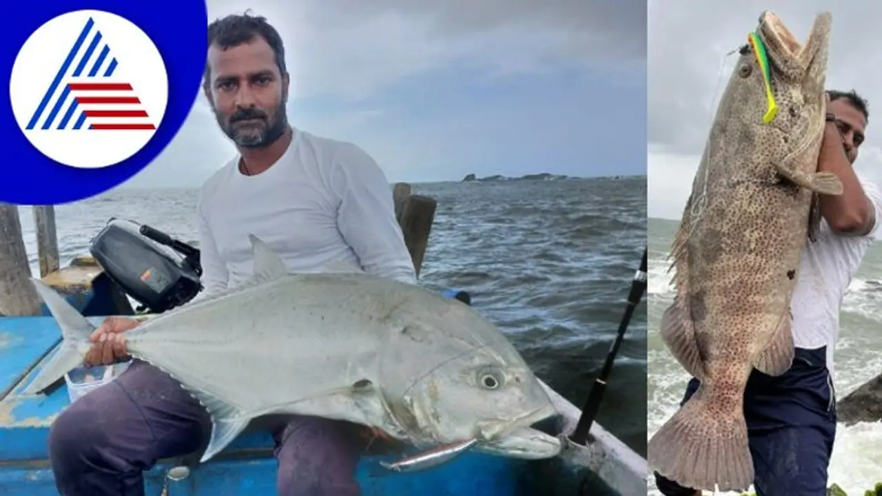 Udupi; ಆಳ ಸಮುದ್ರ ಮೀನುಗಾರಿಕೆಗೆ ನಿಷೇಧ, ಗಾಳಕ್ಕೆ ಸಿಕ್ಕ ಭಾರಿ ಗಾತ್ರದ ಮೀನು! Udupi; ಆಳ ಸಮುದ್ರ ಮೀನುಗಾರಿಕೆಗೆ ನಿಷೇಧ, ಗಾಳಕ್ಕೆ ಸಿಕ್ಕ ಭಾರಿ ಗಾತ್ರದ ಮೀನು!