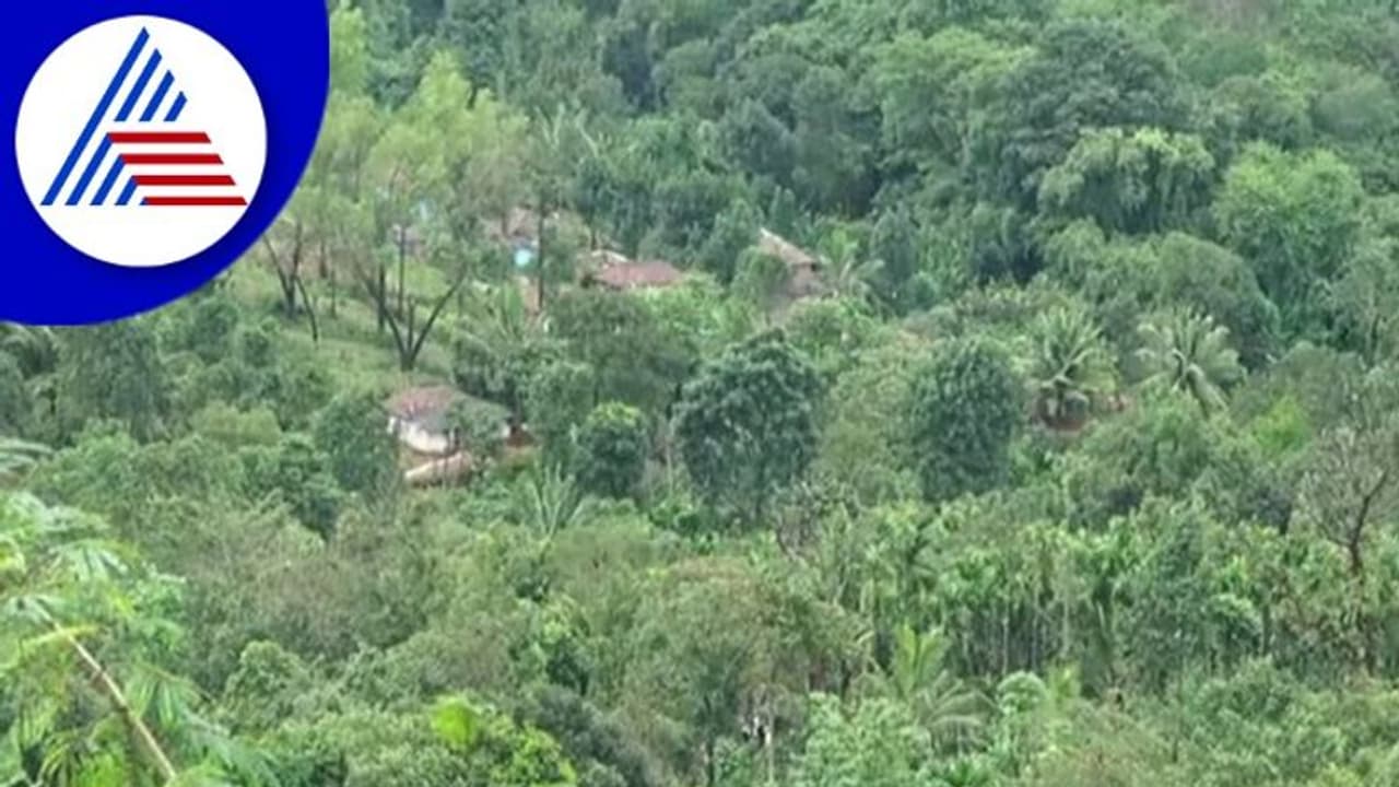 ಮಲೆನಾಡಿನಲ್ಲಿ ಮಳೆ ಬಿಡುವು , ರೈತರಿಗೆ ಕೃಷಿ ಇಲಾಖೆಯಿಂದ ಸಲಹೆ ಮಲೆನಾಡಿನಲ್ಲಿ ಮಳೆ ಬಿಡುವು , ರೈತರಿಗೆ ಕೃಷಿ ಇಲಾಖೆಯಿಂದ ಸಲಹೆ