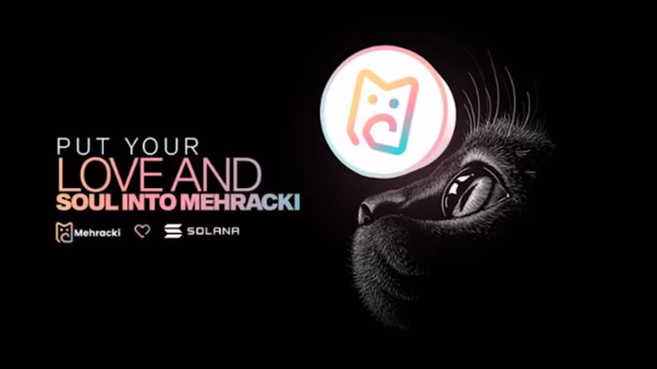 Will Mehracki (MKI) Be as Profitable as Bitcoin (BTC) and Algorand (ALGO)?