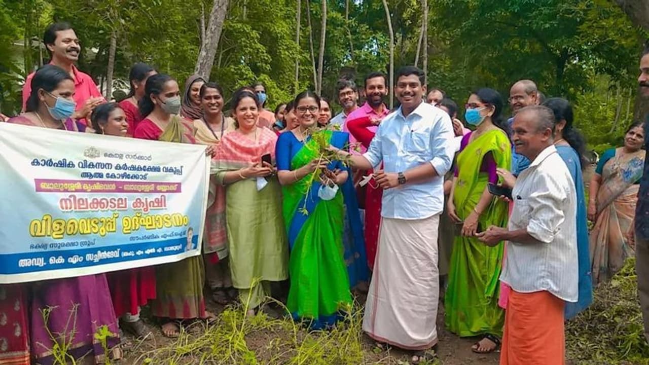 'നിലക്കടല വിളഞ്ഞത് നൂറുമേനി' ബാലുശേരിയിൽ വനിതാ കൂട്ടായ്മയുടെ ആവേശ വിളവെടുപ്പ്