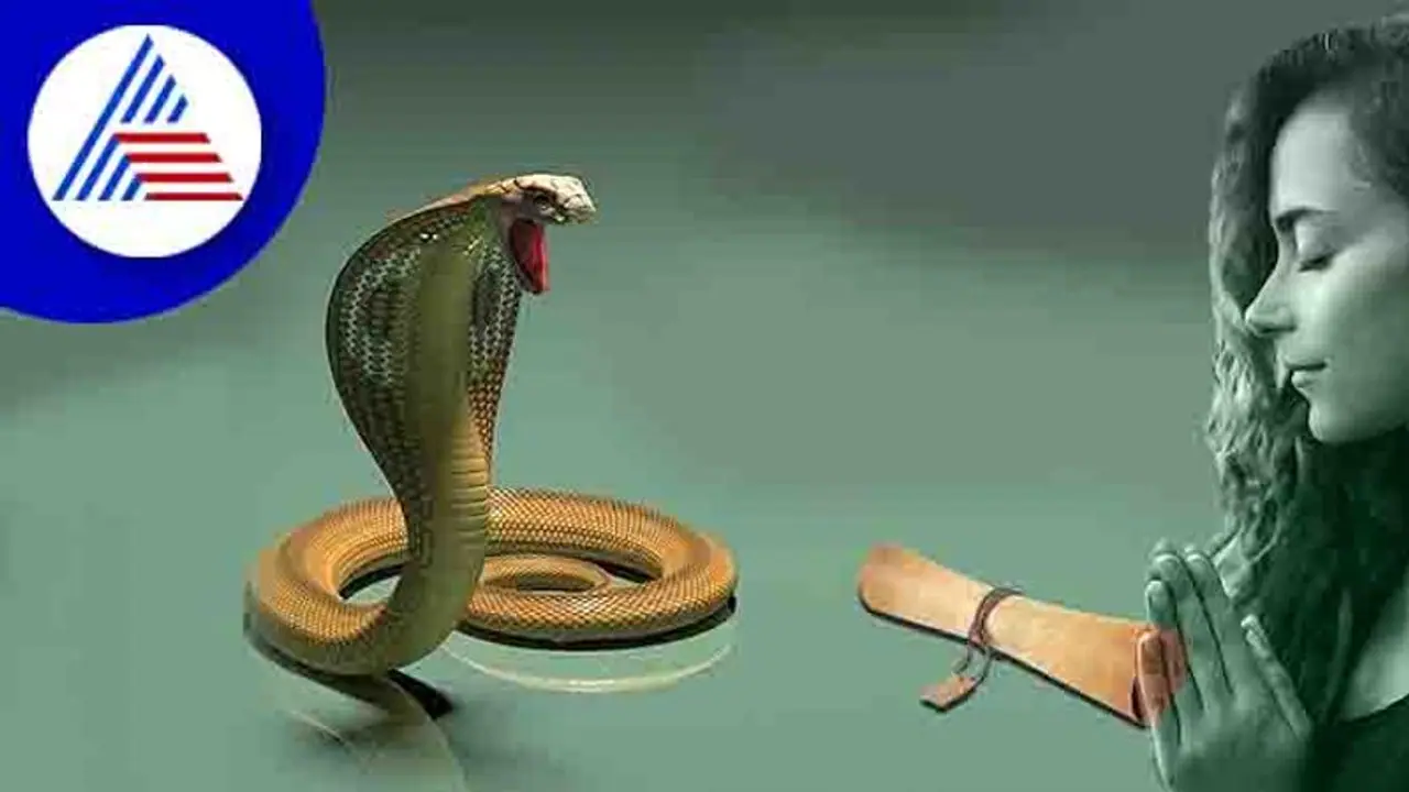 ಈ ದೇಗುಲದ ಬಾಗಿಲು ತೆಗೆವುದು ನಾಗಪಂಚಮಿಗೆ ಮಾತ್ರ, ಭೇಟಿ ಕೊಟ್ರೆ ನಿವಾರಣೆಯಾಗುತ್ತೆ ಕಾಳಸರ್ಪ ದೋಷ!