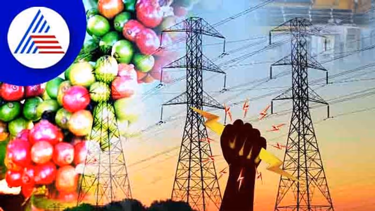 ಕಾಫಿ ಬೆಳೆಗಾರರ ವಿದ್ಯುತ್ ಪಂಪ್ಸೆಟ್ಗಳಿಗೆ ಉಚಿತ ವಿದ್ಯುತ್ ನೀಡದಿದ್ದರೆ ಹೋರಾಟ: ರೈತ ಸಂಘ ಎಚ್ಚರಿಕೆ ಕಾಫಿ ಬೆಳೆಗಾರರ ವಿದ್ಯುತ್ ಪಂಪ್ಸೆಟ್ಗಳಿಗೆ ಉಚಿತ ವಿದ್ಯುತ್ ನೀಡದಿದ್ದರೆ ಹೋರಾಟ: ರೈತ ಸಂಘ ಎಚ್ಚರಿಕೆ