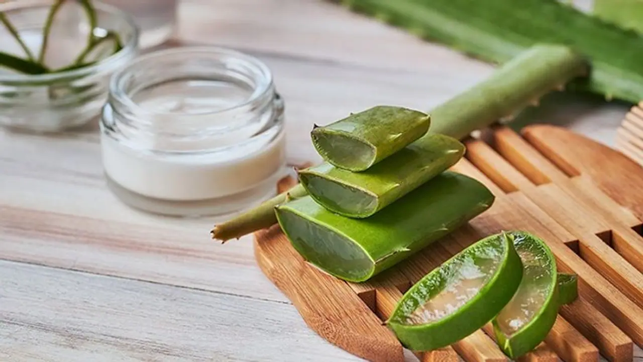 Reduces dandruff to improve immunity 6 reasons to add Aloe Vera in your day to day life Reduces dandruff to improve immunity 6 reasons to add Aloe Vera in your day to day life
