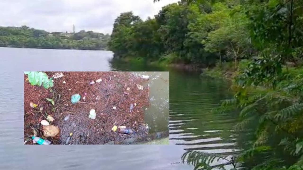 ಉಡುಪಿ: ನಿರ್ವಹಣೆ ಇಲ್ಲದೆ ಹಾಳಾದ ಮಣ್ಣಪಳ್ಳ: ಸುಂದರ ತಾಣ ಈಗ ಕೊಳಕು ಮಣಿಪಾಲ ಉಡುಪಿ: ನಿರ್ವಹಣೆ ಇಲ್ಲದೆ ಹಾಳಾದ ಮಣ್ಣಪಳ್ಳ: ಸುಂದರ ತಾಣ ಈಗ ಕೊಳಕು ಮಣಿಪಾಲ