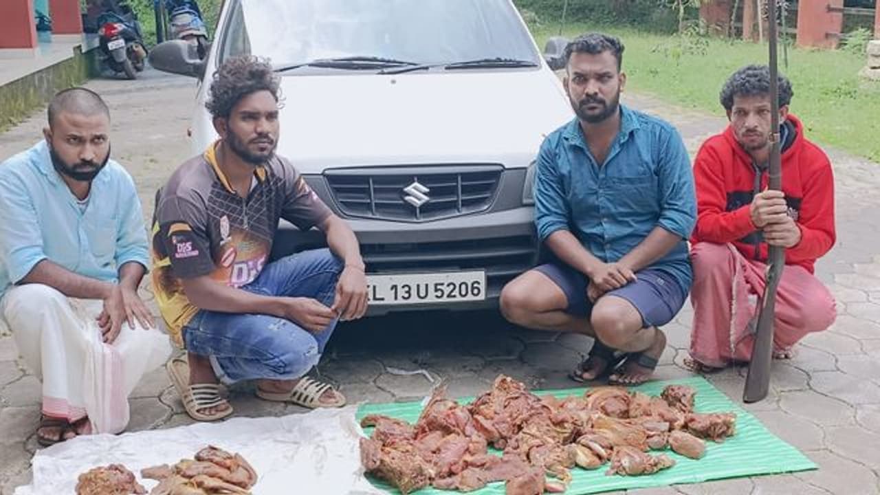 റിസോര്ട്ട് കേന്ദ്രീകരിച്ച് കാട്ടുമാംസ വില്പ്പന; വയനാട്ടില് മാനിറച്ചിയുമായി നാലംഗ സംഘം പിടിയില് റിസോര്ട്ട് കേന്ദ്രീകരിച്ച് കാട്ടുമാംസ വില്പ്പന; വയനാട്ടില് മാനിറച്ചിയുമായി നാലംഗ സംഘം പിടിയില്