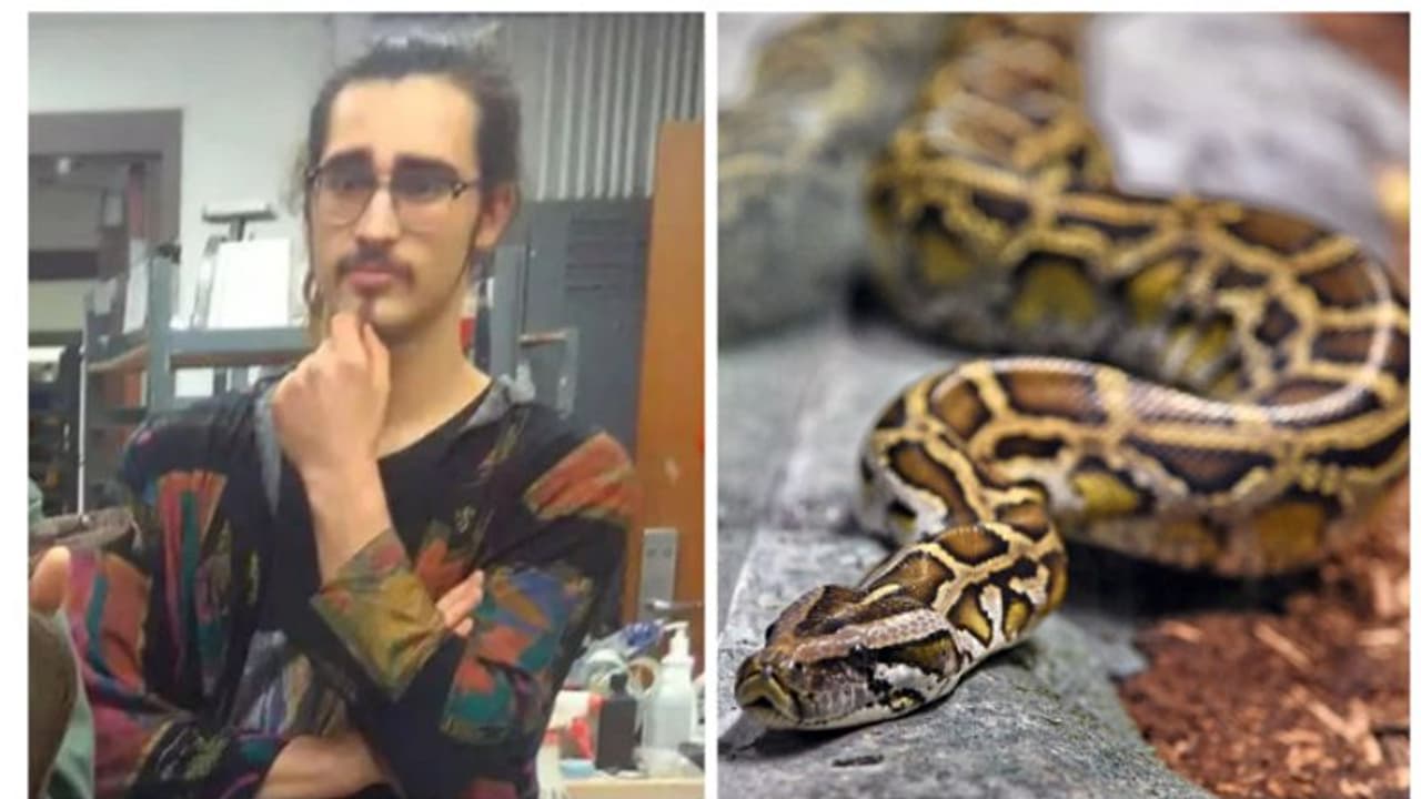 18 അടി നീളമുള്ള ഭീമാകാരമായ പാമ്പ് 27കാരന്റെ കഴുത്തിൽ ചുറ്റിപ്പിടിച്ചു; പിന്നീട് സംഭവിച്ചത് 