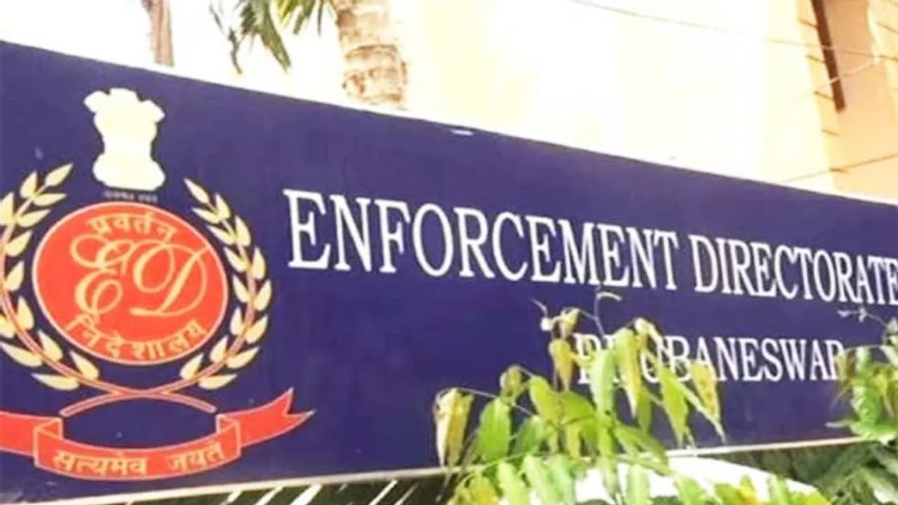 क्या है PMLA एक्ट जो ED ईडी को देता है ये 3 पावर, आखिर क्यों इससे इतना खौफ खाते हैं नेता क्या है PMLA एक्ट जो ED ईडी को देता है ये 3 पावर, आखिर क्यों इससे इतना खौफ खाते हैं नेता