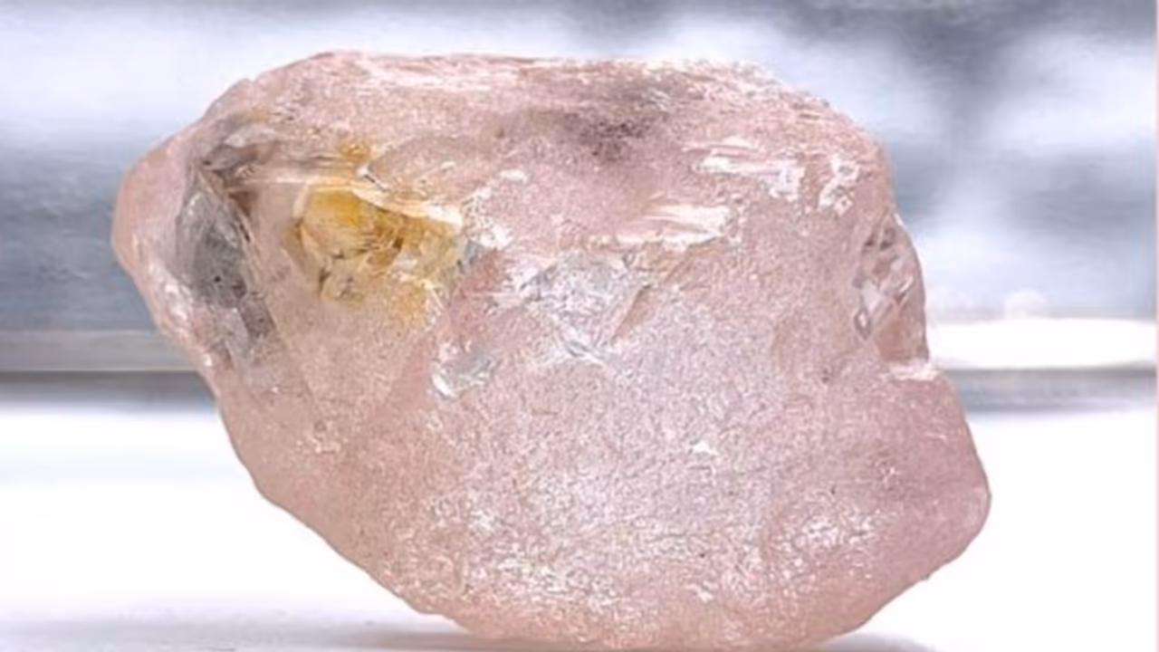 ৩০০ বছরে এই প্রথম, মিলল বিশ্বের সবচেয়ে বড় গোলাপী হীরে লুলা রোজ এর খোঁজ ৩০০ বছরে এই প্রথম, মিলল বিশ্বের সবচেয়ে বড় গোলাপী হীরে লুলা রোজ এর খোঁজ