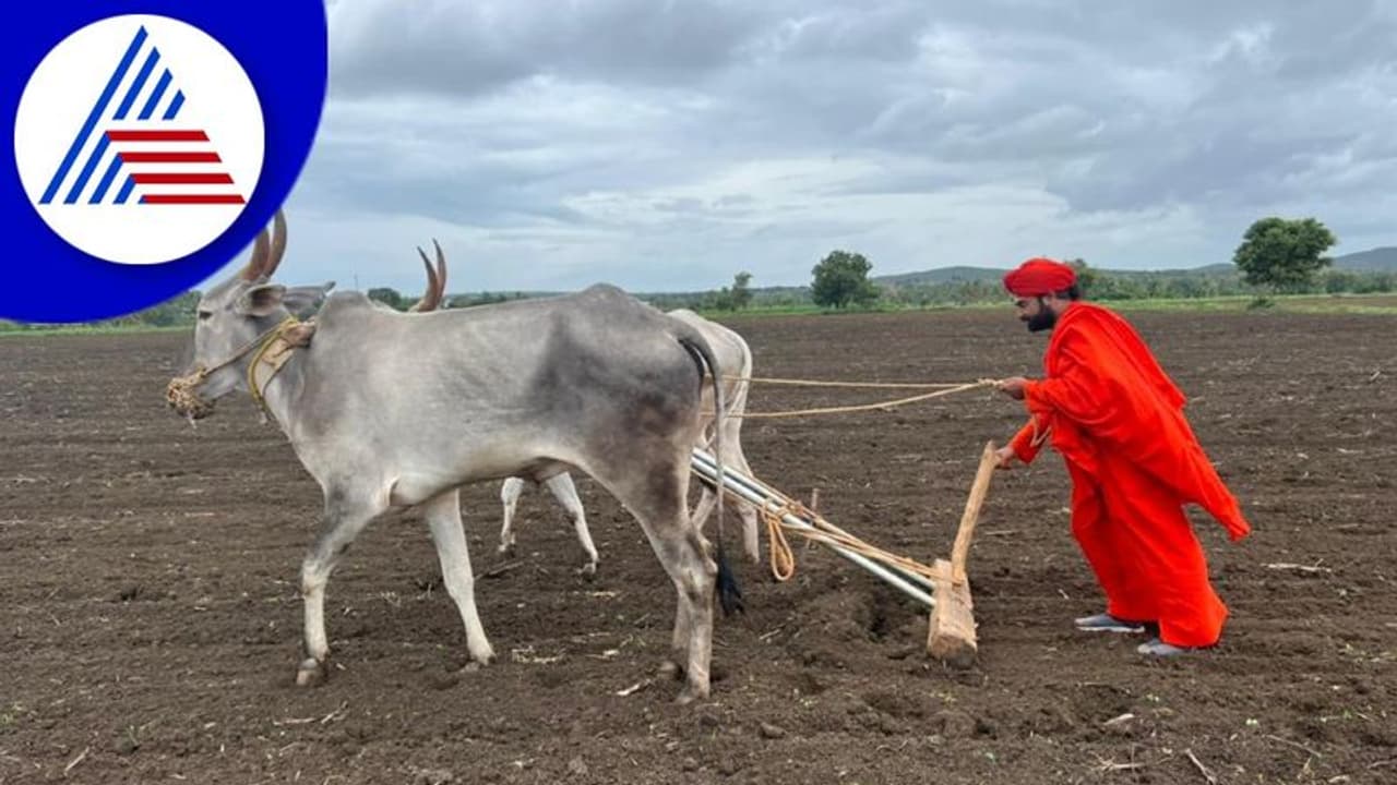 Davanagere: ಹೊಲದಲ್ಲಿ ಉಳುಮೆ ಮಾಡಿದ ಶ್ವಾಸಗುರು ವಚನಾನಂದ ಶ್ರೀ Davanagere: ಹೊಲದಲ್ಲಿ ಉಳುಮೆ ಮಾಡಿದ ಶ್ವಾಸಗುರು ವಚನಾನಂದ ಶ್ರೀ