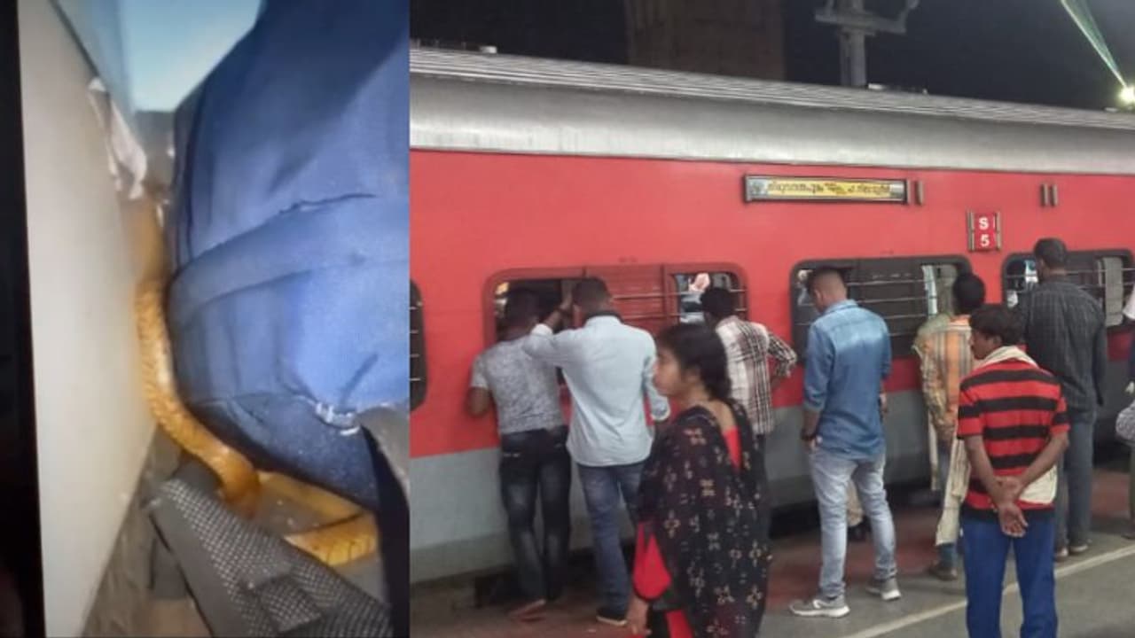 ട്രെയിനിൽ ബാഗുകൾക്കിടയിൽ പാമ്പ്, കണ്ടത് തിരൂരിൽ വെച്ച്; പരിഭ്രാന്തരായി യാത്രക്കാർ ട്രെയിനിൽ ബാഗുകൾക്കിടയിൽ പാമ്പ്, കണ്ടത് തിരൂരിൽ വെച്ച്; പരിഭ്രാന്തരായി യാത്രക്കാർ