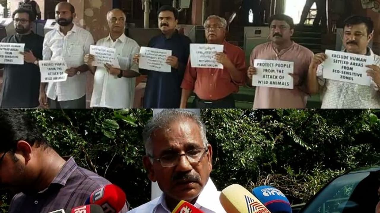 ബഫർസോണിൽ പ്രതിപക്ഷം രാഷ്ട്രീയ മുതലെടുപ്പിന് ശ്രമിക്കുന്നെന്ന് ശശീന്ദ്രൻ, ദില്ലിയിൽ ഇടത് എംപിമാരുടെ പ്രതിഷേധം