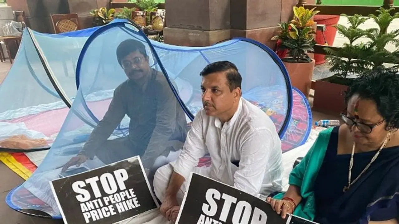 মশার কামড়ে অতিষ্ট প্রতিবাদী, সাসপেন্ড সাংসদদের ৫০ ঘণ্টার ধর্না মঞ্চে মশারি 