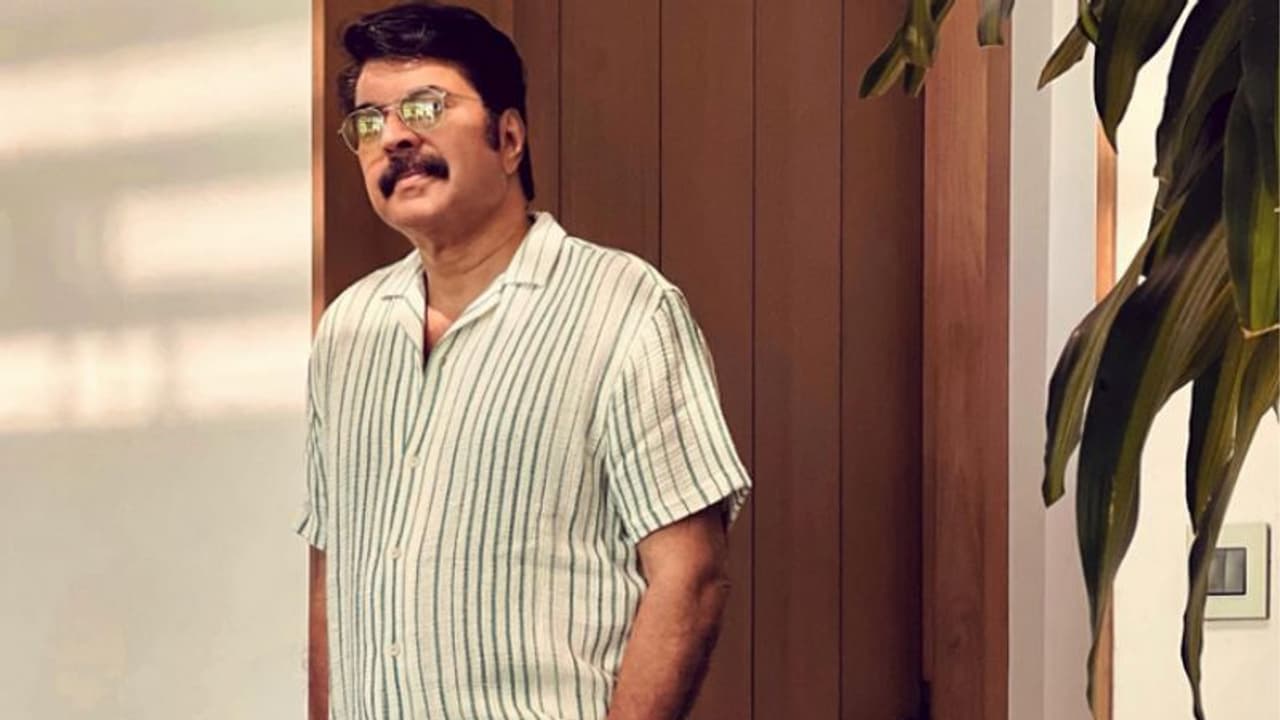 Mammootty : ടൈഗര്‍ ഡേയില്‍ ഫോട്ടോ പങ്കുവെച്ച് മമ്മൂട്ടി, നിങ്ങളല്ലേ യഥാര്‍ഥ കടുവയെന്ന് ആരാധകര്‍