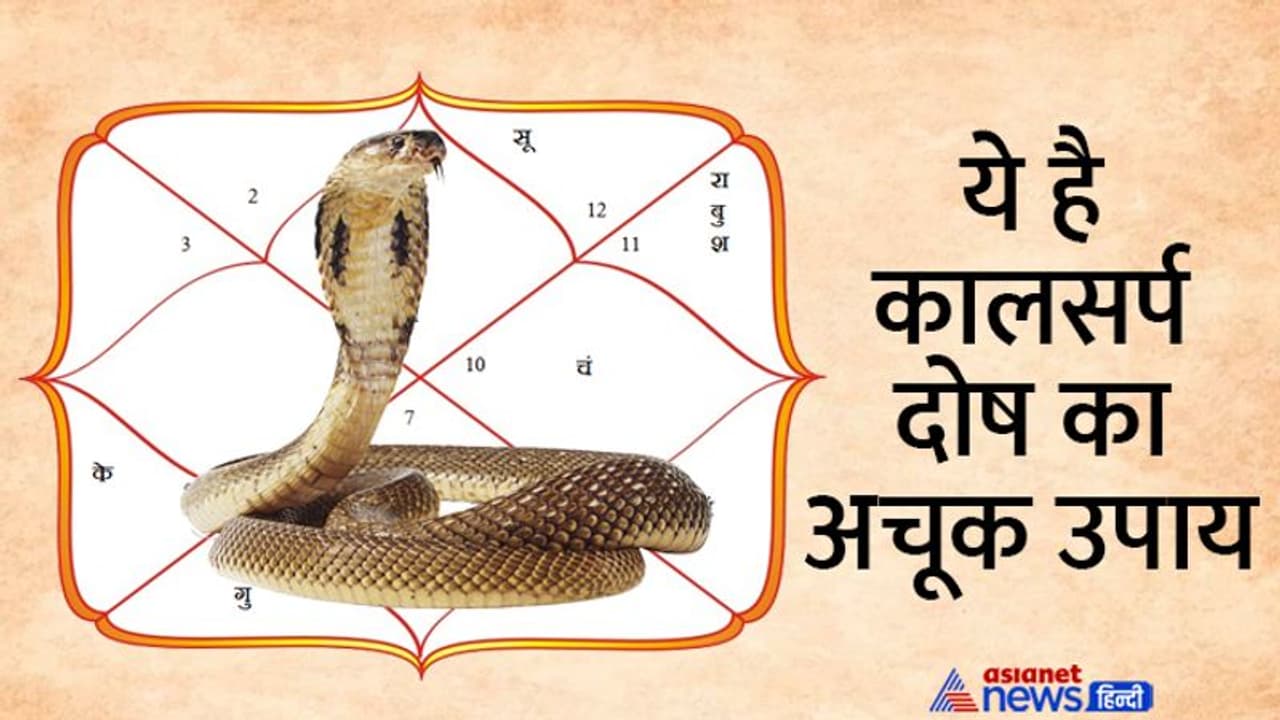Nagpanchami 2022: कालसर्प दोष से हैं परेशान तो रोज सुबह करें 10 मिनिट का ये आसान उपाय