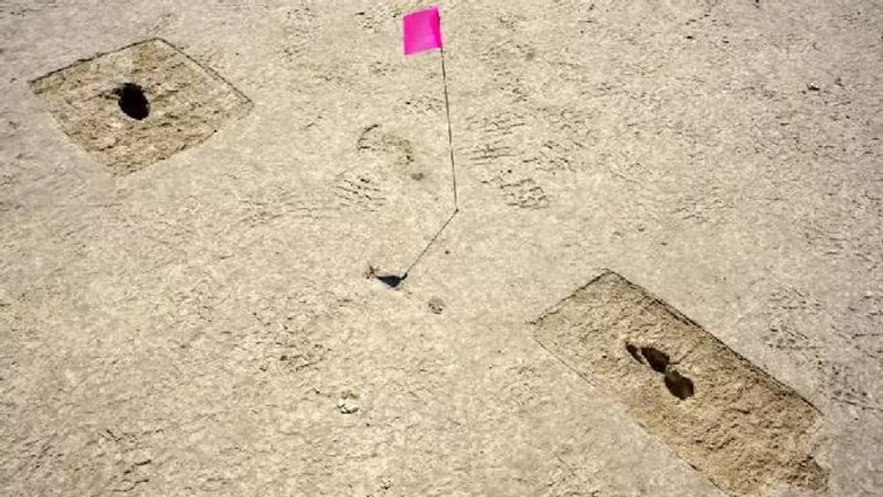 12000 വർഷം പഴക്കമുള്ള മനുഷ്യന്റെ കാല്പാടുകൾ കണ്ടെത്തി ഗവേഷകർ 12000 വർഷം പഴക്കമുള്ള മനുഷ്യന്റെ കാല്പാടുകൾ കണ്ടെത്തി ഗവേഷകർ