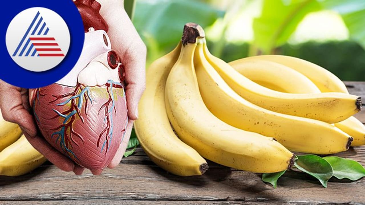 ದಿನಕ್ಕೊಂದು ಬಾಳೆಹಣ್ಣು ತಿಂದ್ರೆ ಹೃದ್ರೋಗದ ಭಯವಿಲ್ಲ ದಿನಕ್ಕೊಂದು ಬಾಳೆಹಣ್ಣು ತಿಂದ್ರೆ ಹೃದ್ರೋಗದ ಭಯವಿಲ್ಲ