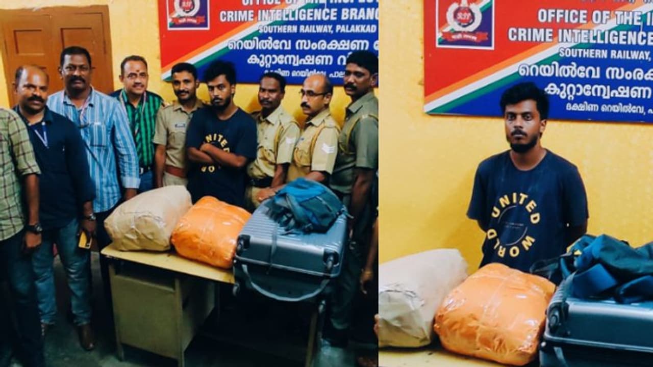 പാലക്കാട് റെയില്വേ സ്റ്റേഷനില് 20 കിലോ കഞ്ചാവുമായി കോട്ടയം സ്വദേശി പിടിയില് പാലക്കാട് റെയില്വേ സ്റ്റേഷനില് 20 കിലോ കഞ്ചാവുമായി കോട്ടയം സ്വദേശി പിടിയില്