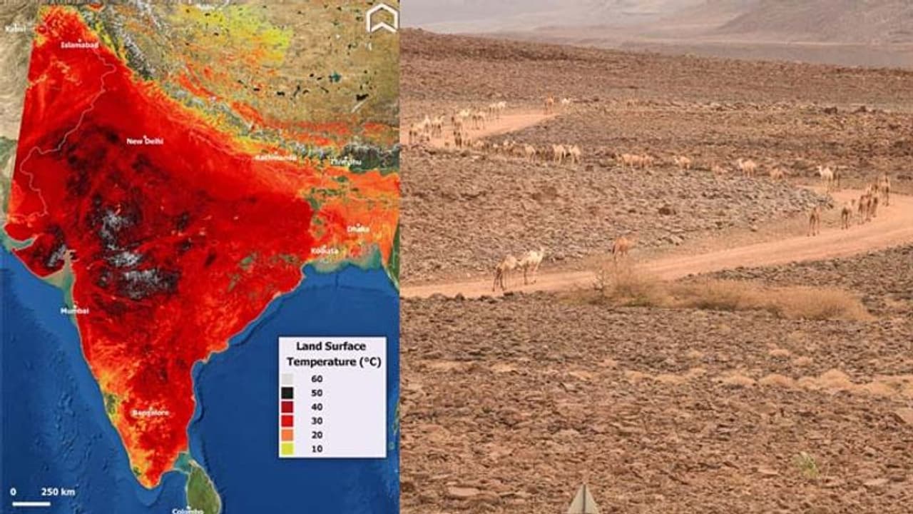 क्लाइमेट चेंज से जुड़ीं 2 चौंकाने वाली News, ब्रिटेन में 10 गुना गर्मी बढ़ी,भारत ने इस साल 203 हीटवेव झेले