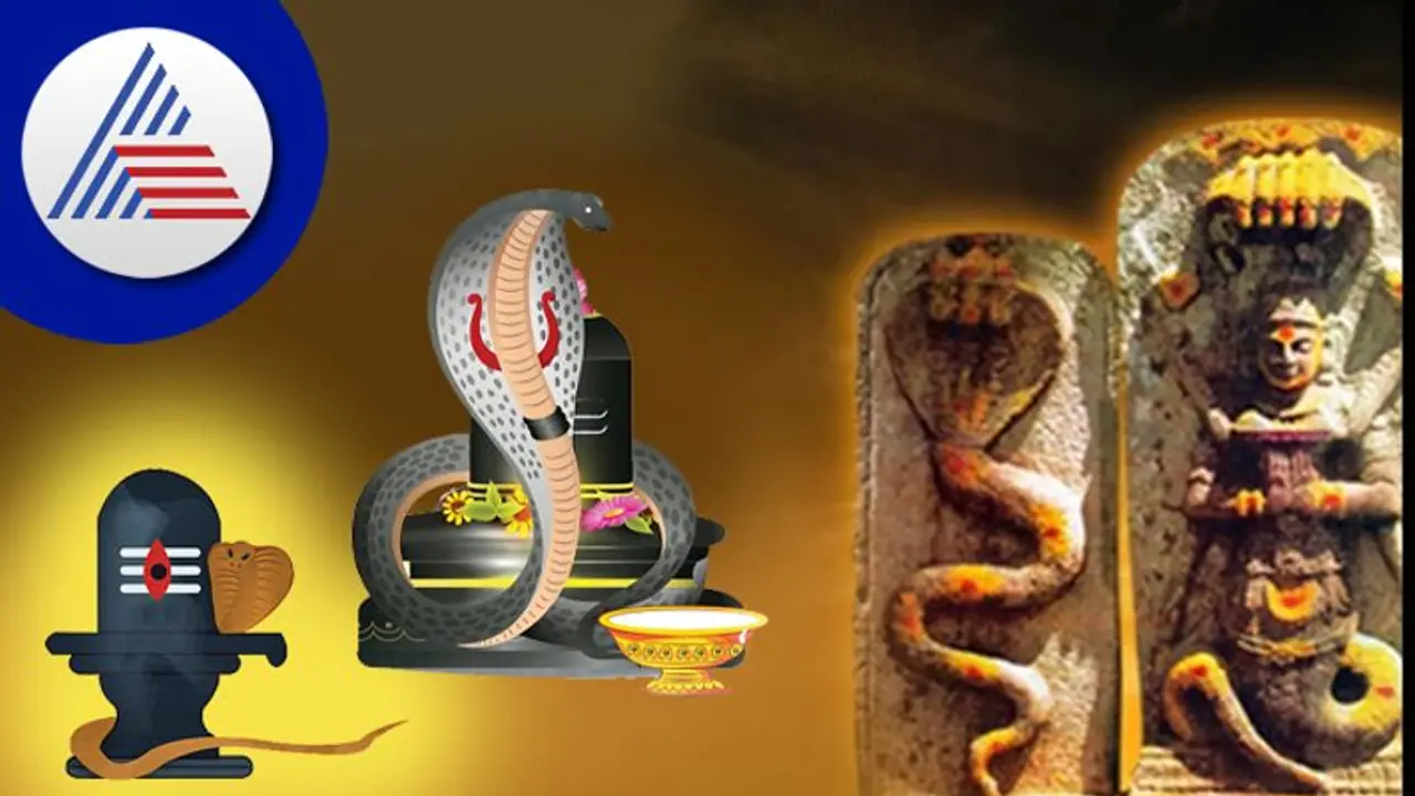 Nag Panchami ನಾಗ ದೇವರ ಕೋಪಕ್ಕೆ ಗುರಿಯಾದ್ರೆ ಬೀದಿಗೆ ಬರೋದು ನಿಶ್ಚಿತ