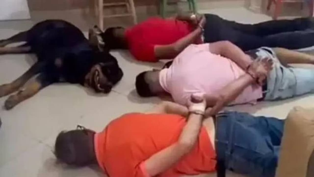 കഞ്ചാവ് കടത്തുകാർക്കൊപ്പം അറസ്റ്റിന്റെ സമയത്ത് 'കീഴടങ്ങി' നായയും; ദൃശ്യങ്ങൾ വൈറൽ കഞ്ചാവ് കടത്തുകാർക്കൊപ്പം അറസ്റ്റിന്റെ സമയത്ത് 'കീഴടങ്ങി' നായയും; ദൃശ്യങ്ങൾ വൈറൽ