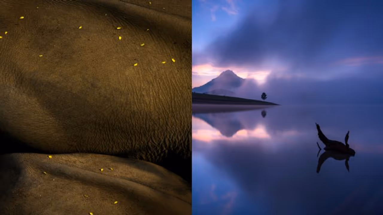 ഡിജെ മെമ്മോറിയൽ ഫോട്ടോഗ്രാഫി അവാർഡ് പ്രഖ്യാപിച്ചു