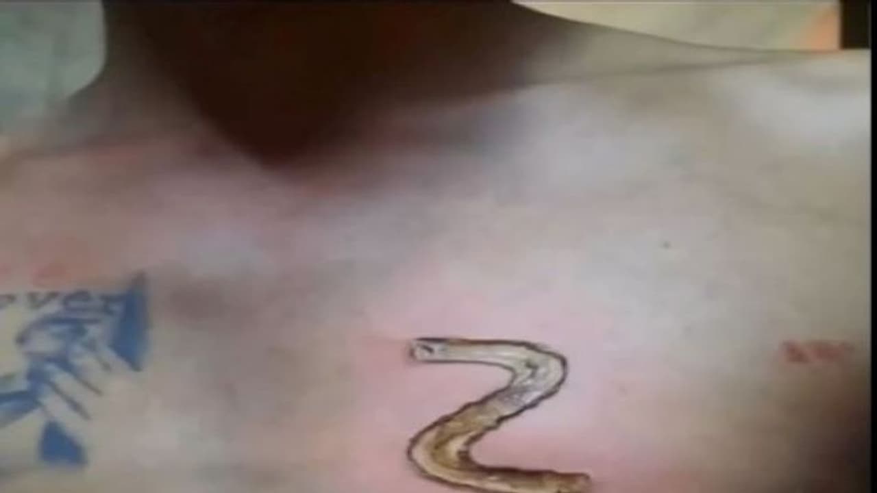 पुतिन को चाहने वाले इस युवक ने तो हद कर दी, दीवानगी में देखिए क्या करवा बैठा पुतिन को चाहने वाले इस युवक ने तो हद कर दी, दीवानगी में देखिए क्या करवा बैठा