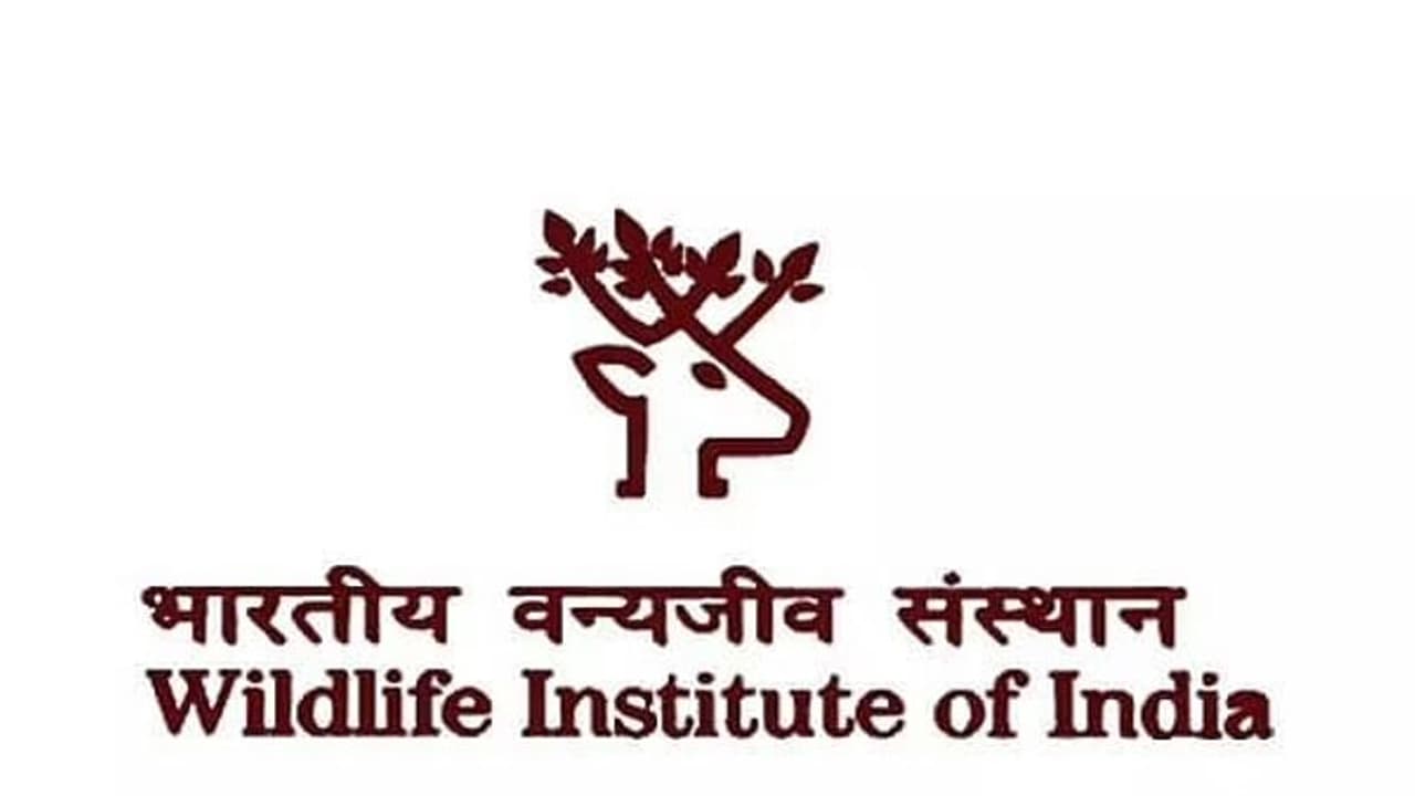 இந்திய வன விலங்கு நிறுவனத்தில் காலி பணியிடங்கள் அறிவிப்பு... சம்பளம் எவ்வளவு? கல்வி தகுதி என்ன?