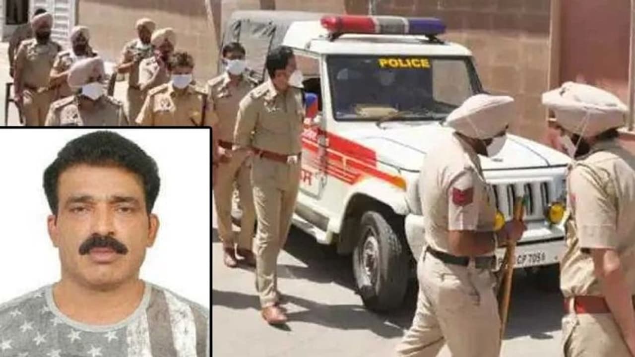 पंजाब में AAP नेता की गोली मारकर हत्या, जिम में जाकर सामने से बरसाईं गोलियां...पुलिस में हड़कंप पंजाब में AAP नेता की गोली मारकर हत्या, जिम में जाकर सामने से बरसाईं गोलियां...पुलिस में हड़कंप